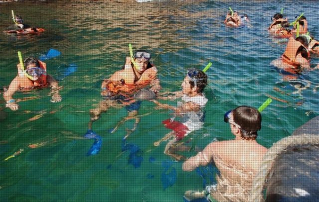  Snorkeling dans la baie